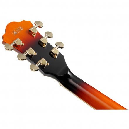 Полуакустическая электрогитара  - Фото №169675