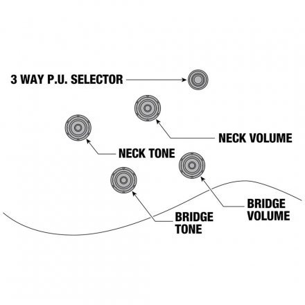 Полуакустическая электрогитара  - Фото №169677