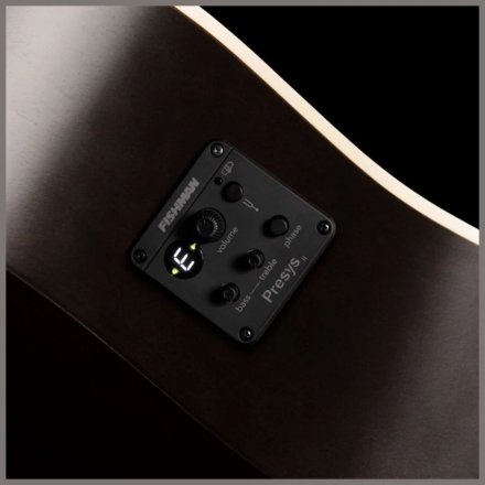 Електроакустична гітара  - Фото №168101