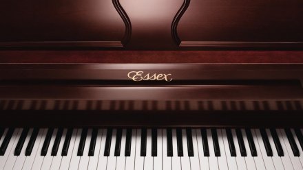 Акустичне піаніно  - Фото №156213