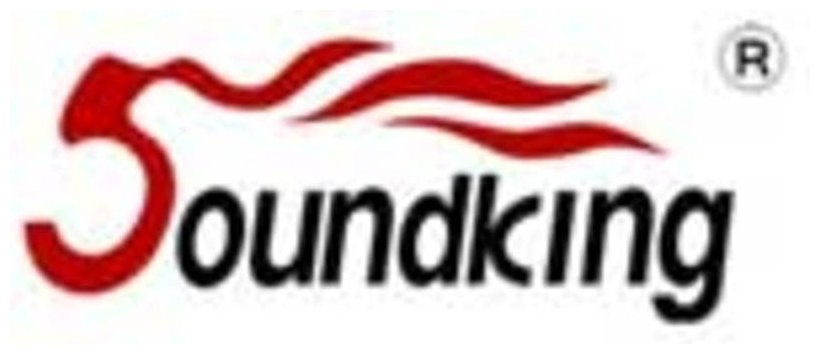 Підсилювач потужності Soundking Power AMP PCB for AA800J