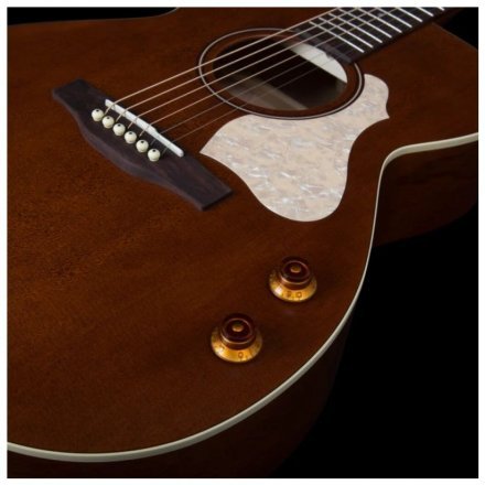 Електроакустична гітара  - Фото №168125