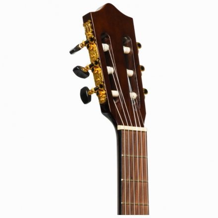 Электроакустическая гитара  - Фото №162334