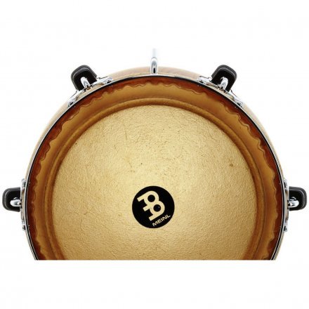 Конг  - Фото №173468