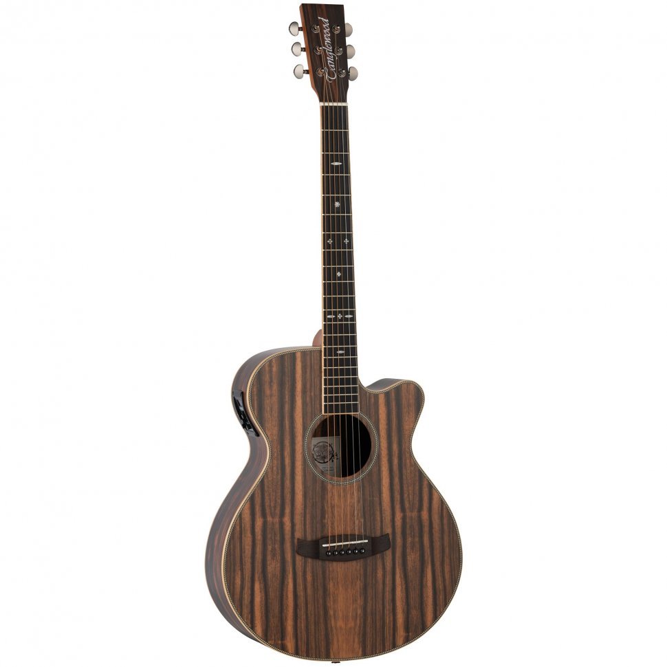 Электроакустическая гитара Tanglewood TRU4 CE AE Электроакустическая гитара Tanglewood TRU4 CE AE