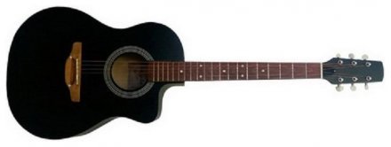 Акустическая гитара  - Фото №111310