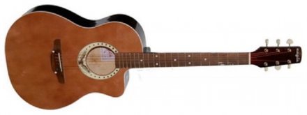 Акустическая гитара  - Фото №111311