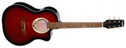 Акустическая гитара  - Фото №111312