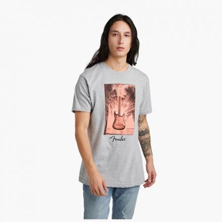 Прочая гитарная фурнитура  - Фото №170752