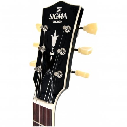 Полуакустическая электрогитара  - Фото №179685