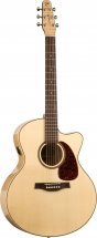 Seagull Performer CW MJ Flame Maple HG QIT with Bag