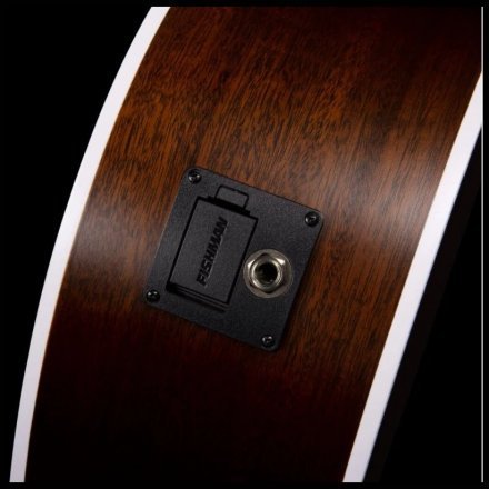 Электроакустическая гитара  - Фото №168186