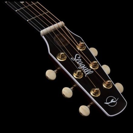 Электроакустическая гитара  - Фото №168189