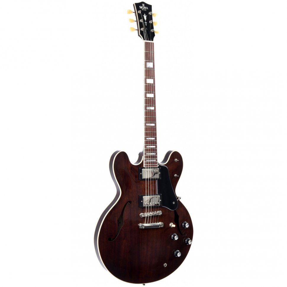 Напівакустична електрогітара Sigma Semi-Hollow HBW-102H-DS