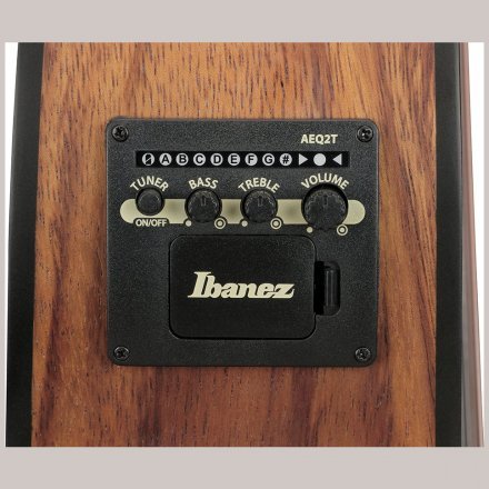 Электроакустическая гитара  - Фото №182315