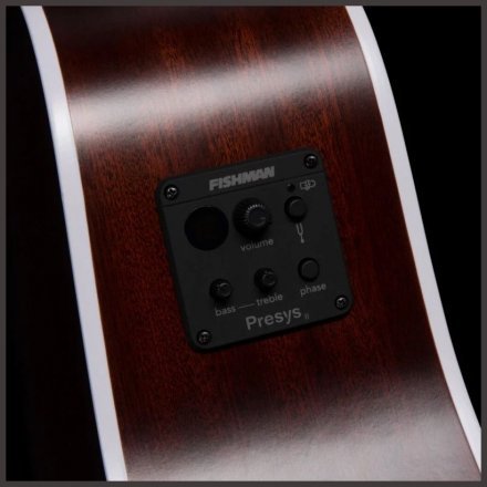 Электроакустическая гитара  - Фото №168194