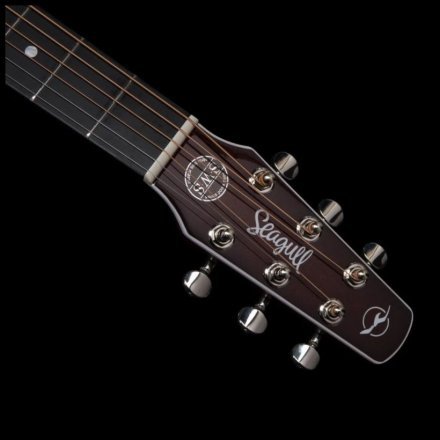 Электроакустическая гитара  - Фото №168195