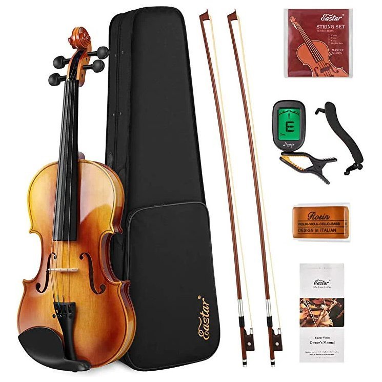 Скрипка Donner Music Eastar EVA-330 4/4 Solid Wood Violin Set