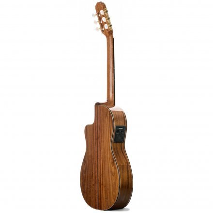 Класична гітара зі звукознімачем  - Фото №173080