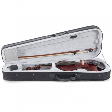 Скрипка  - Фото №185552