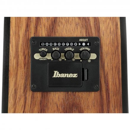 Электроакустическая гитара  - Фото №175207