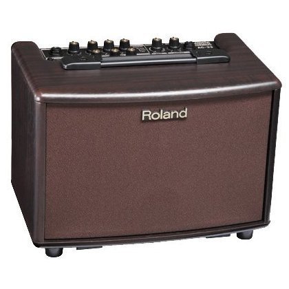 Акустический комбик Roland AC-60 RW - Фото №14227
