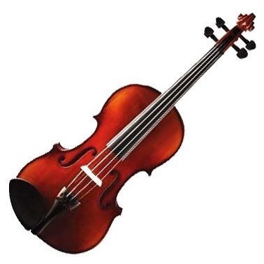 Скрипка Stagg VN-3/4 EF - Фото №47855