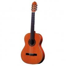 Antonio Sanchez 1005 Cedar