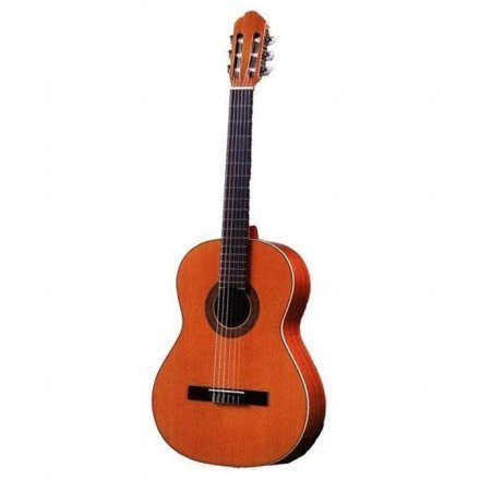 Классическая гитара  - Фото №184059