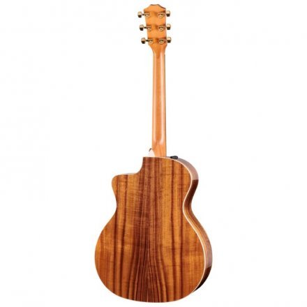 Электроакустическая гитара  - Фото №184040