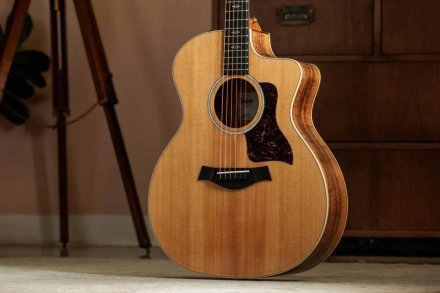 Электроакустическая гитара  - Фото №184041