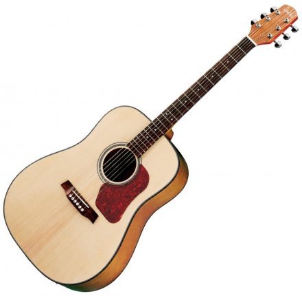 Акустическая гитара  - Фото №1287