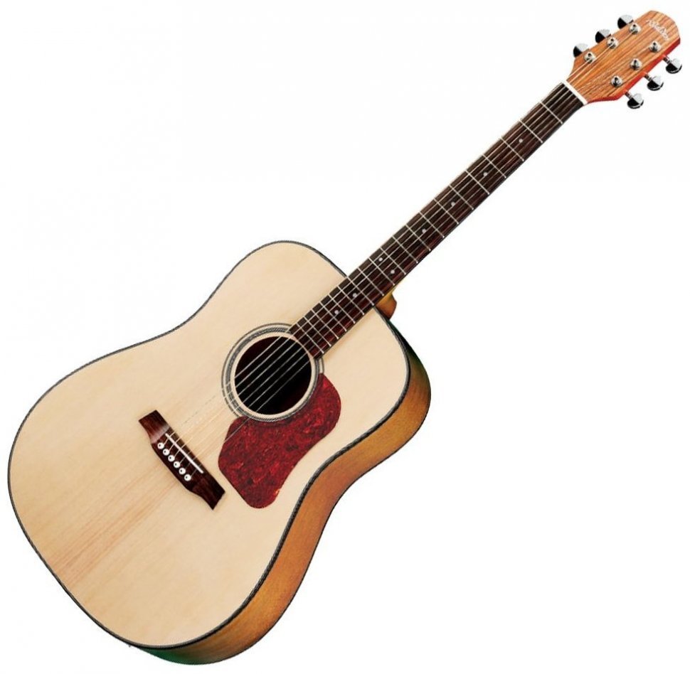 Акустическая гитара Walden D550