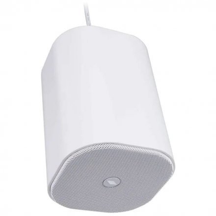 Подвесная акустическая система  - Фото №167645