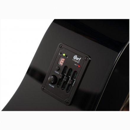 Электроакустическая гитара  - Фото №176460