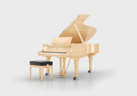 Акустическое пианино Steinway &amp; Sons MASTERPIECE 8X8 - Фото №156456