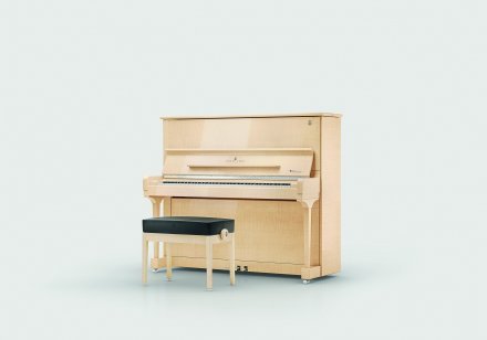 Акустическое пианино Steinway &amp; Sons MASTERPIECE 8X8 - Фото №156458