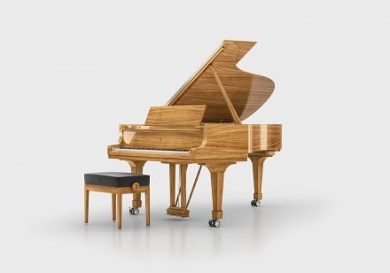 Акустическое пианино Steinway &amp; Sons MASTERPIECE 8X8 - Фото №156459