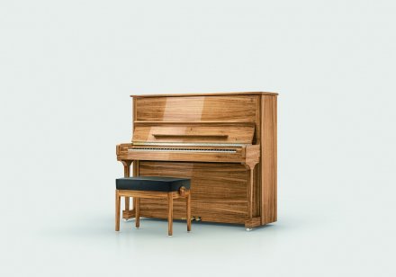 Акустическое пианино Steinway &amp; Sons MASTERPIECE 8X8 - Фото №156460