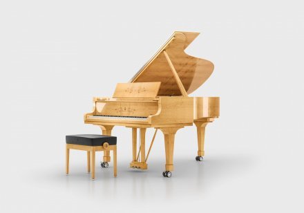 Акустическое пианино Steinway &amp; Sons MASTERPIECE 8X8 - Фото №156461