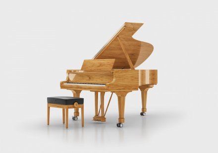 Акустическое пианино Steinway &amp; Sons MASTERPIECE 8X8 - Фото №156464