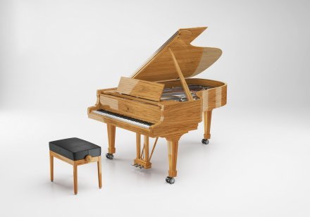 Акустическое пианино Steinway &amp; Sons MASTERPIECE 8X8 - Фото №156465