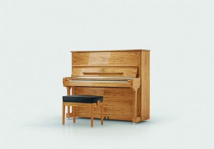 Акустическое пианино Steinway &amp; Sons MASTERPIECE 8X8 - Фото №156467