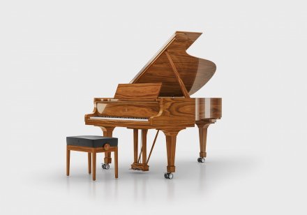 Акустическое пианино Steinway &amp; Sons MASTERPIECE 8X8 - Фото №156468