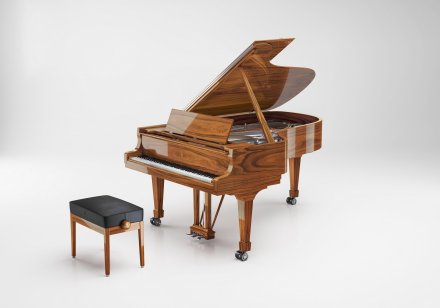 Акустическое пианино Steinway &amp; Sons MASTERPIECE 8X8 - Фото №156469