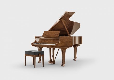 Акустическое пианино Steinway &amp; Sons MASTERPIECE 8X8 - Фото №156471