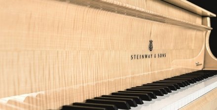 Акустическое пианино Steinway &amp; Sons MASTERPIECE 8X8 - Фото №156480