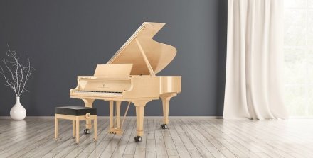 Акустическое пианино Steinway &amp; Sons MASTERPIECE 8X8 - Фото №156481