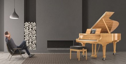Акустическое пианино Steinway &amp; Sons MASTERPIECE 8X8 - Фото №156482