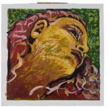 Pirastro Evah Pirazzi Neo 4/4